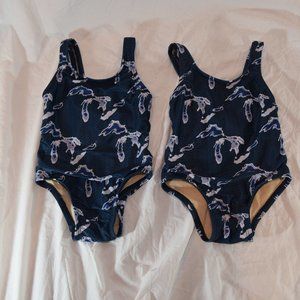Great Lakes Swim Suit 2T